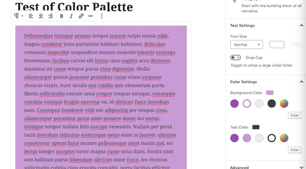 Our custom WordPress editor color palette
